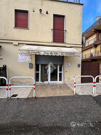 ATTIVITÀ A GUIDONIA MONTECELIO