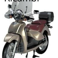 RICAMBI SCARABEO ROTAX PINZA FRENO POMPA CARENE PA