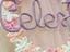 Immagine 3