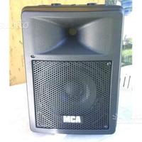 Diffusori MCA 300 Pro ORIGINALI e realizzate da me