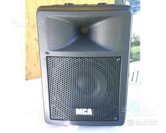 Diffusori MCA 300 Pro ORIGINALI e realizzate da me