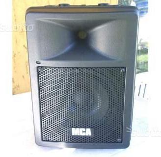 Diffusori MCA 300 Pro ORIGINALI e realizzate da me