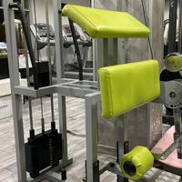 Standing Leg curl Techogym