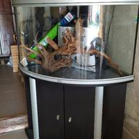 Acquario curvo 200L