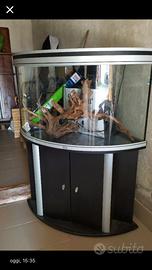 Acquario curvo 200L