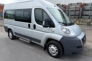 Minibus/ Ducato 9 posti pedana disabile