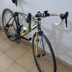 bdc scott tg.53  54 in carbonio perfetta 