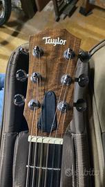 Taylor gs mini