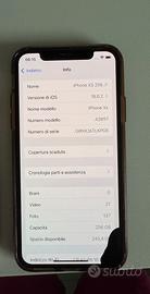 iPhone XS 256 gb