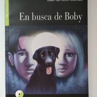 En busca de Boby, black cat, A1