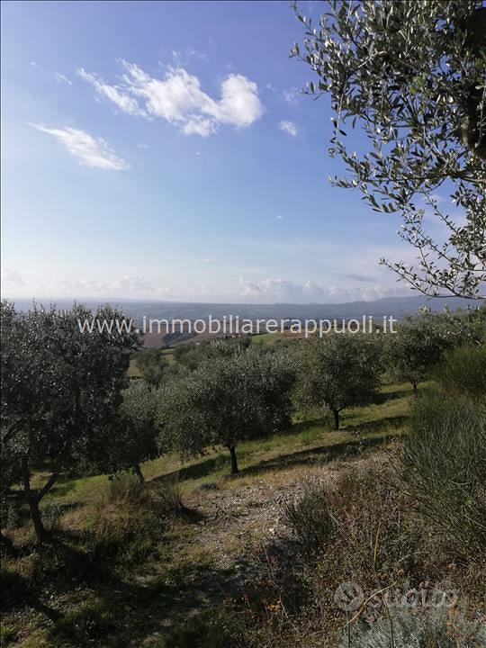 AG39 - San Casciano Dei Bagni azienda agri - Vista 3