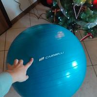 palla ginnastica carnielli