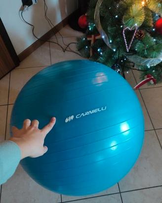 palla ginnastica carnielli
