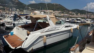 Barca in linea d’asse Sea Ray 35