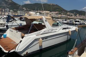 Barca in linea d’asse Sea Ray 35