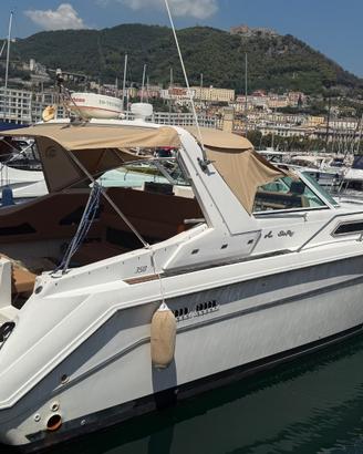 Barca in linea d’asse Sea Ray 35