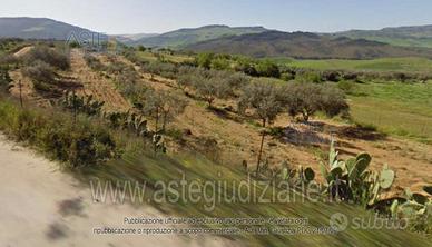 Terreno Agricolo Santa Caterina Villarmosa