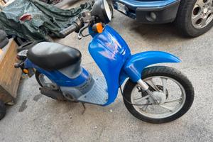 Honda sky vetro