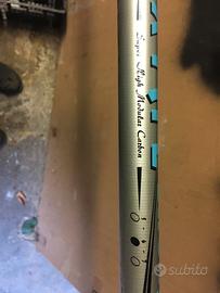 bolognese mt 6 colic