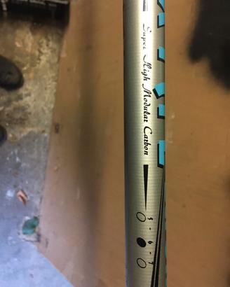 bolognese mt 6 colic