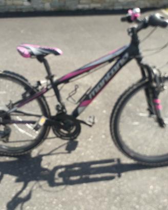 Mtb Montana ruote 24"