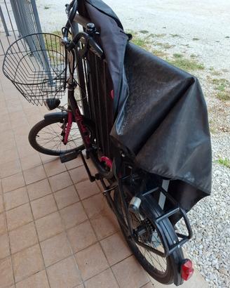 bicicletta 