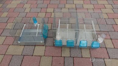 GABBIA COVA E TRASPORTINO