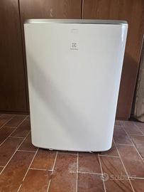 Climatizzatore  Carellabile Elettrolux