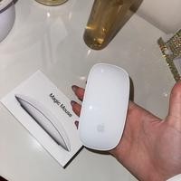 Magic mouse apple