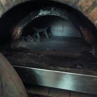 forno per pizzeria 