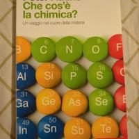 Che cos' è la chimica? (Zanichelli)