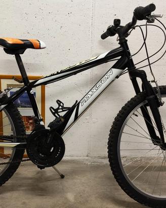 MTB Paxson ruote 24''