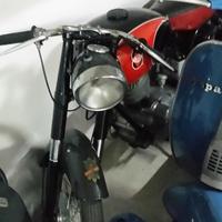 Gilera gibbileo