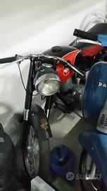 Gilera gibbileo