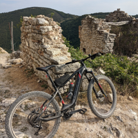 Bici elettrica Lapierre overvolt HT - E- MTB