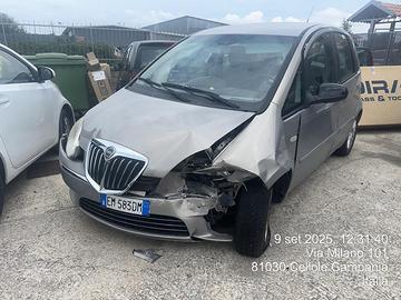 LANCIA MUSA INCIDENTATA