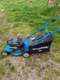 Taglia erba carrello 4T benzina