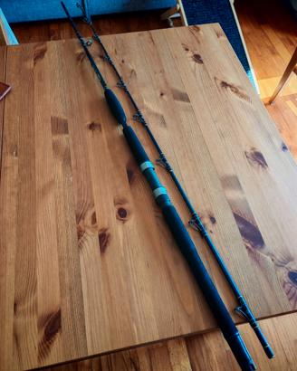 Canna da pesca Seastar Trolling SPORTEX