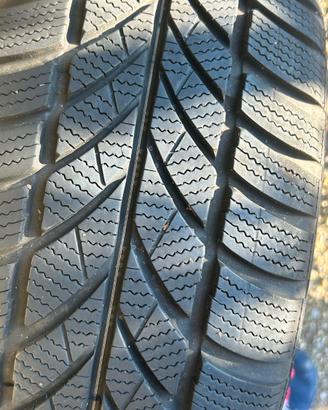 Gomme invernali