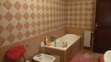 Ampia e luminosa stanza singola