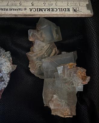 Gruppo di Cristalli Cubici di Fluorite