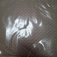 trapunta salvadivano