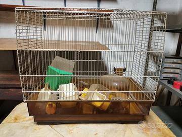 Gabbietta per uccelli