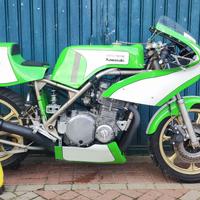 Kawaski Cucchi 900