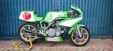 Kawaski Cucchi 900