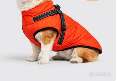 Cappottino cane 