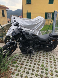 Harley Davidson Nightster