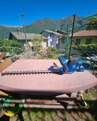 tagliasiepi LUX TOOLS