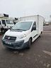 fiat-scudo-isotermico