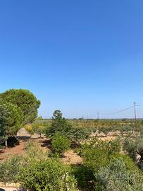 Terreno agricolo a mazara del vallo